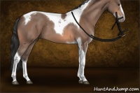 Horse Color:Bay Sabino Tobiano 