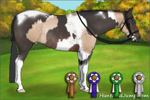Horse Color:Buckskin Pearl Splash Tobiano Rabicano  and Brown Tobiano Rabicano 