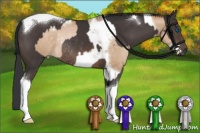 Horse Color:Buckskin Pearl Splash Tobiano Rabicano and Brown Tobiano Rabicano