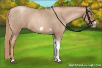 Horse Color:Liver Red Roan Pearl Tobiano Frame
