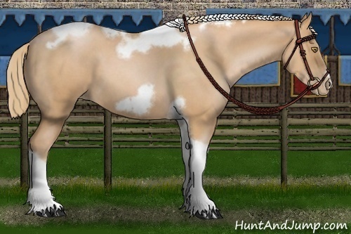 Horse Color:Red Roan Pearl Tobiano Frame 