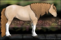 Horse Color:Red Roan Pearl Tobiano Frame 