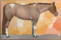 Horse Color:Gray Liver Red Roan Pearl Tobiano Frame Varnish