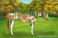 Horse Color:Painted Watercolor White Spotted Brown