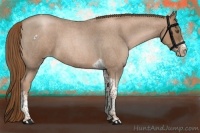 Horse Color:Liver Red Roan Pearl Tobiano Frame
