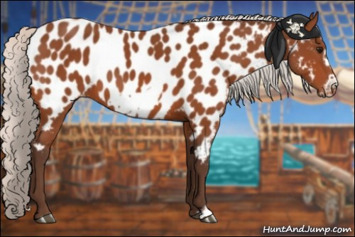 Horse Color:Silver Bay Frame Appaloosa 