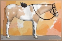 Horse Color:Red Roan Pearl Tobiano Frame 