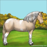 Horse Color:Red Roan Pearl Tobiano Frame 