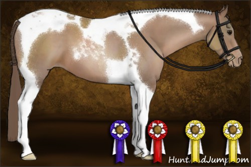 Horse Color:Black Pearl Tobiano 