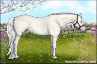 Horse Color:Silver Perlino Dun