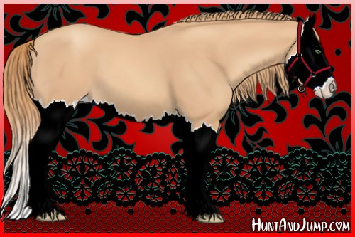 Horse Color:Gold Champagne Splash 