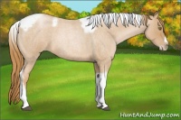 Horse Color:Red Roan Pearl Tobiano Frame