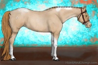 Horse Color:Red Roan Pearl Tobiano Frame