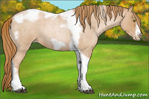Horse Color:Red Roan Pearl Tobiano Frame 