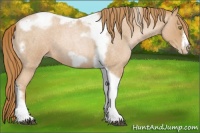 Horse Color:Red Roan Pearl Tobiano Frame 