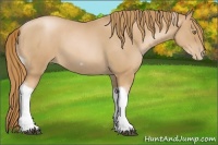 Horse Color:Red Roan Pearl Tobiano Frame