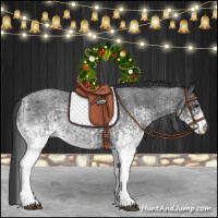 Horse Color:White Spotted Blue Roan Rabicano  and White Spotted Blue Roan Rabicano 