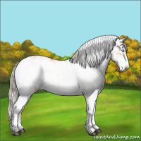 Horse Color:Liver Chestnut Pearl Sabino  and Gray Cremello Sabino 