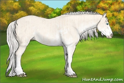 Horse Color:Cremello Sabino  and Cremello Dun Sabino 