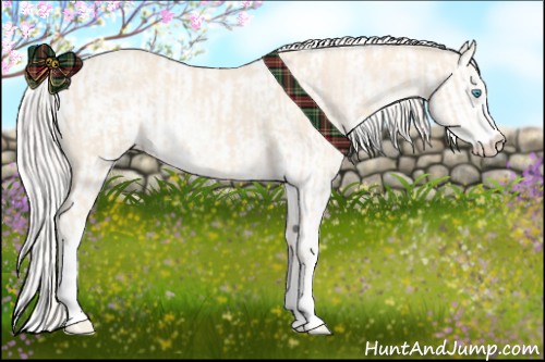 Horse Color:Cremello Sabino  and Cremello Sabino 