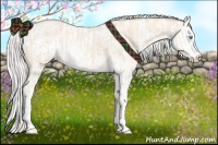 Horse Color:Cremello Sabino and Cremello Sabino