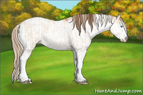 Horse Color:Perlino Sabino  and Gray Perlino Sabino 