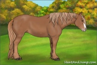 Horse Color:Chestnut Splash Frame 