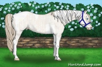 Horse Color:Smoky Creme Dun Sabino and Smoky Creme Dun Sabino Tobiano