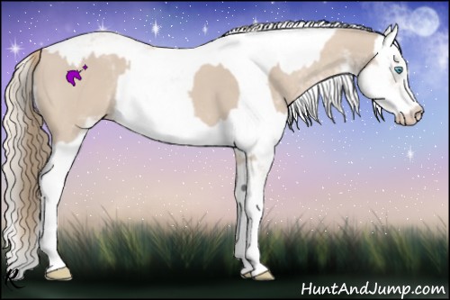 Horse Color:Smoky Creme Sabino  and Smoky Creme Sabino 
