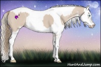 Horse Color:Smoky Creme Sabino  and Smoky Creme Sabino 