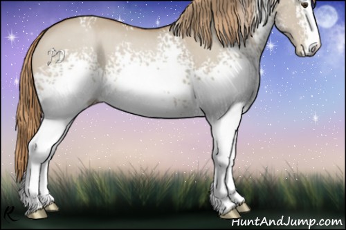 Horse Color:White Spotted Red Dun