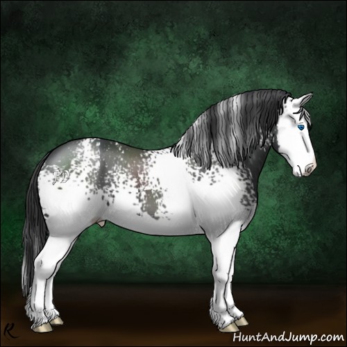 Horse Color:White Spotted Black Splash