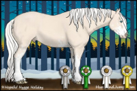 Horse Color:Silver Perlino Sabino 