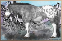Horse Color:White Spotted Blue Roan Splash Frame Blanket 