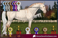 Horse Color:Silver Classic Champagne Dun Brindle 