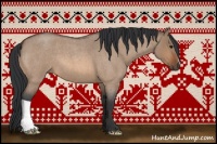 Horse Color:Bay Roan Dun 