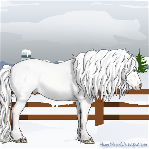 Horse Color:Silver Perlino Dun 