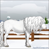 Horse Color:Silver Perlino Dun 