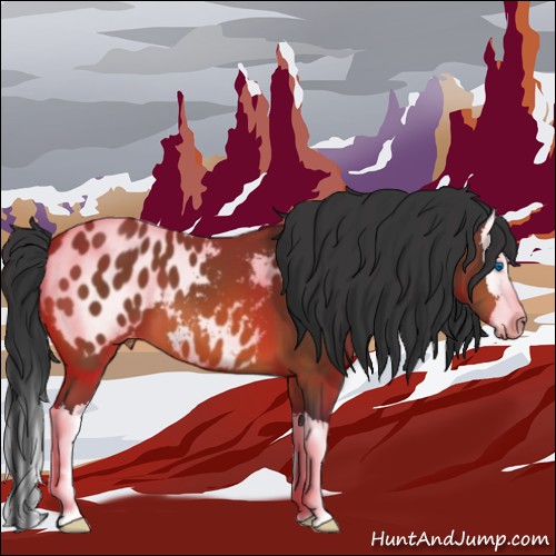 Horse Color:Bay Sabino Splash Blanket 