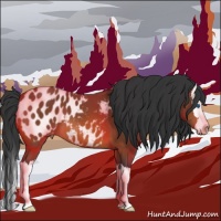 Horse Color:Bay Sabino Splash Blanket 