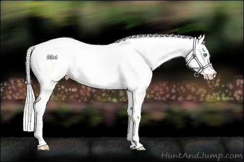 Horse Color:Cremello Dun 