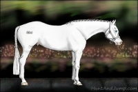 Horse Color:Cremello Dun 
