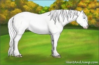 Horse Color:Silver Smoky Creme Dun 