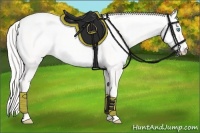 Horse Color:Cremello Dun 