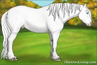Horse Color:Silver Smoky Creme Dun 