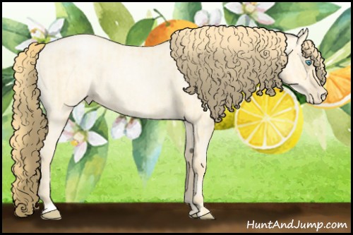 Horse Color:Buckskin Roan Pearl  and Buckskin Roan Pearl Dun 