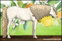 Horse Color:Buckskin Roan Pearl  and Buckskin Roan Pearl Dun 