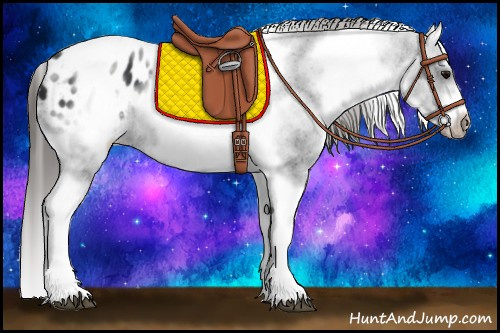 Horse Color:White Spotted Black Splash Tobiano Frame Appaloosa 