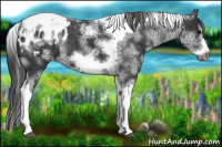 Horse Color:White Spotted Black Splash Tobiano Frame Blanket 