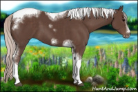 Horse Color:Silver Black Sabino Splash Tobiano Frame Rabicano 